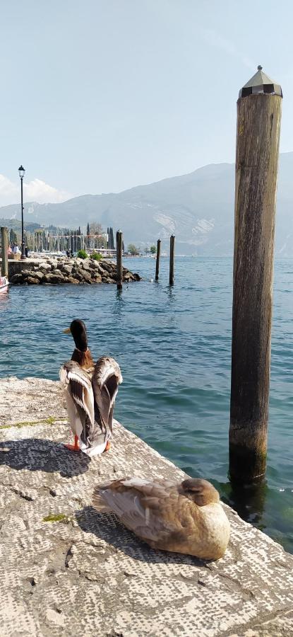 Riva Del Garda Nest Lejlighed Eksteriør billede